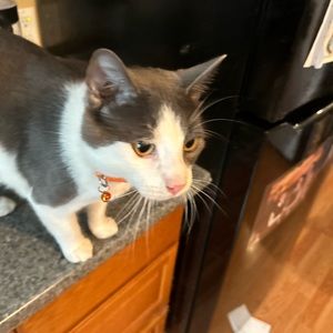 Meet your Posher, Kelly